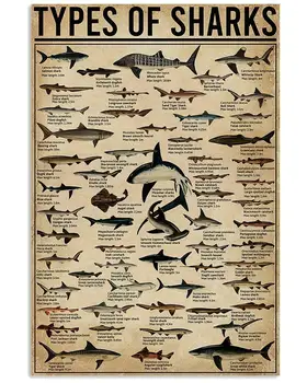 Все виды плакатов с акулами, Уведомление для Дайвера для декора Ванной Комнаты, Подарок для дайвера, Знаки, Винтажные Дорожные знаки, Металлическая Жестяная вывеска High Way Изображение