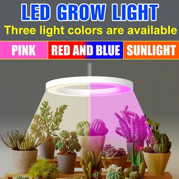 Полный спектр, Кольцо Ангела, светодиодный светильник для выращивания растений, Лампа для выращивания растений, Фито-лампа с тремя головками, Садоводство, Выращивание суккулентных кактусов Изображение